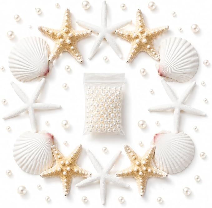 JSPYFITS 2.5-4 Inches Large Starfish and Scallop Shells by JSPYFITS
