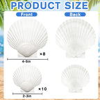 YUJUN 18PCS Large Natural Scallop Shells - Image 2