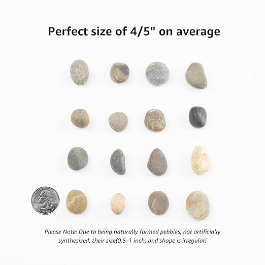 10 LBS Natural Pebbles - Image 2