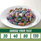 PGN 20 Large River Rocks for Painting - Image 3