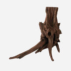 LYPHARD AQUARIUMS Natural Driftwood - Image 3