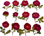 12 Pcs Nauture Dried Pressed Rose, Real Dried Pressed Flowers - Image 2