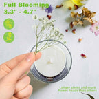 90Pcs Mini Dried Pressed Baby's Breath Flowers Bulk - Image 8