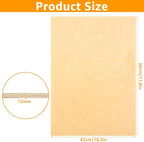 3Pcs Baltic Birch Plywood Sheets 12 x 16x 1/2 Inch-12mm Unfinished Plywood - Image 2