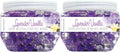 SMELLS BEGONE Odor Eliminator Gel Beads - 12 oz, Pack of 2 - Eliminates Odor in Bathrooms, Cars, Boats, RVs & Pet Areas - Air Freshener - Made with Essential Oils - Lavender Vanilla Scent