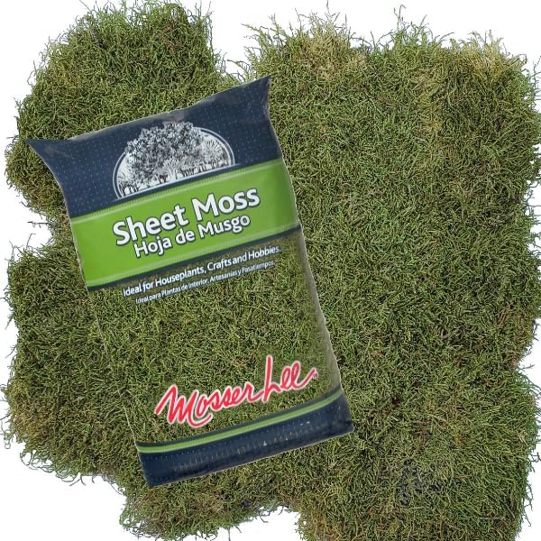 Mosser Lee ML0480 Natural Green Sheet Moss – 520 sq. in. – Organic Decorative - Image 4