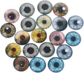 20Pcs Glass for Doll Eyes Animal Crafts Eyeballs for Dinosaur Eye Accessorie by Unknown