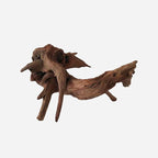 LYPHARD AQUARIUMS Natural Driftwood - Image 2