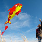 HENGDA KITE 3D Kite for Kids and Adults, Excellent Fabric and Structure - Image 5