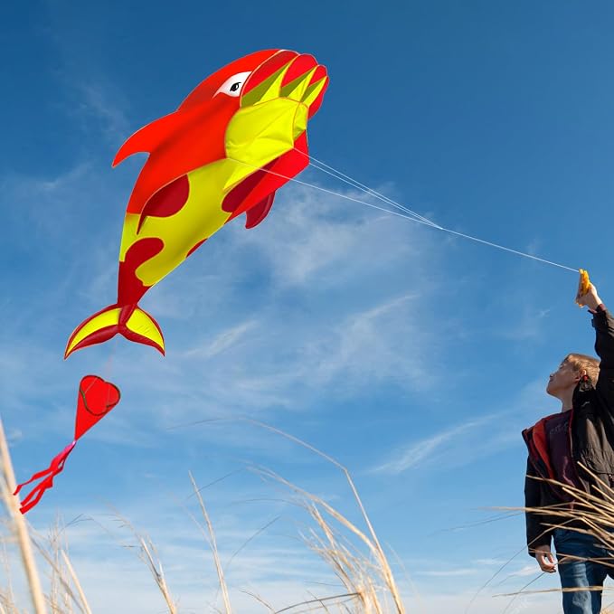 HENGDA KITE 3D Kite for Kids and Adults, Excellent Fabric and Structure - Image 5