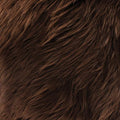 Faux Fake Fur Long Pile Luxury Shaggy/Craft, Decorations / 60" Wide/Sold by The by FabricEmpire