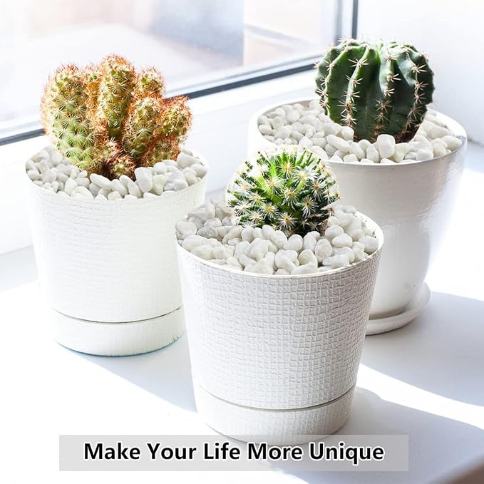 YISZM 10LB Succulent and Cactus Gravel, 1/5 Inch White Natural Decorative - Image 7