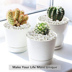 YISZM 10LB Succulent and Cactus Gravel, 1/5 Inch White Natural Decorative - Image 7