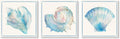 Seashell Wall Decor Ocean Beach Nautical Canvas Wall Art Blue Seashell Painting by JAPOART
