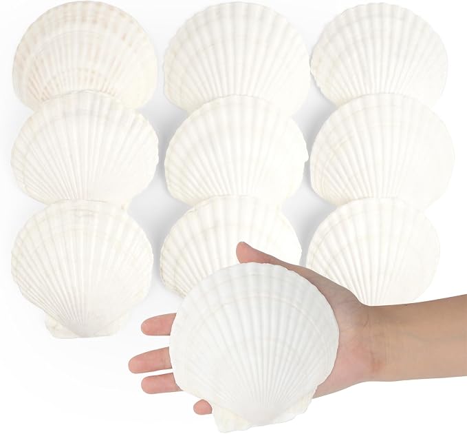 Jangostor 10 PCS Scallop Shells Natural Seashell, Fish Tank and Vase Filler by Jangostor