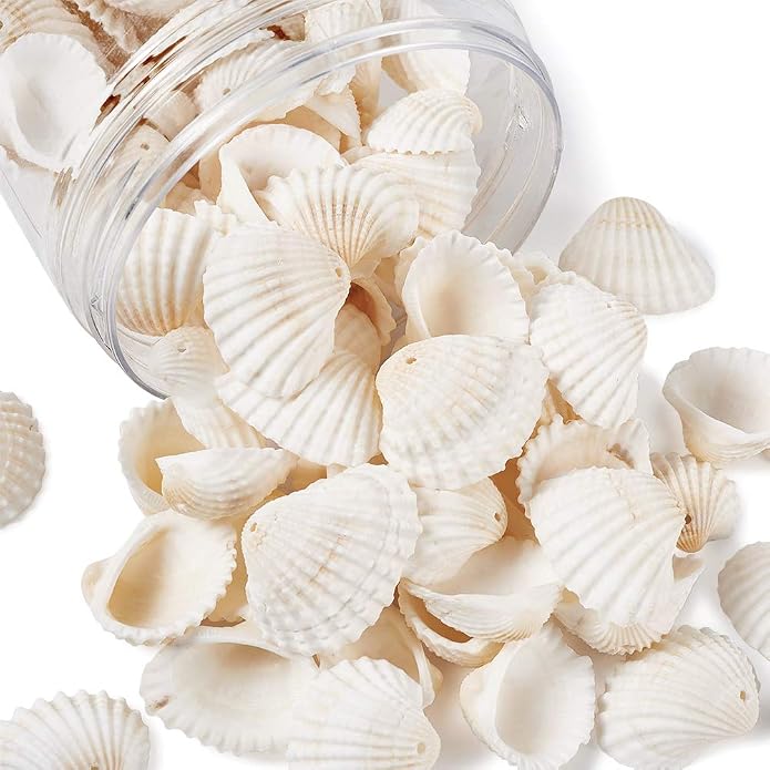 Beadthoven Box of 117pcs Natural Clam Shell Pendants 21.5-24.5x8.5-11.5 Beach by BBBeadthoven