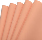 MECCANIXITY EVA Foam Sheets Nude 19.7 Inch x 19.3 Inch 1mm Thick Crafts Foam by MECCANIXITY