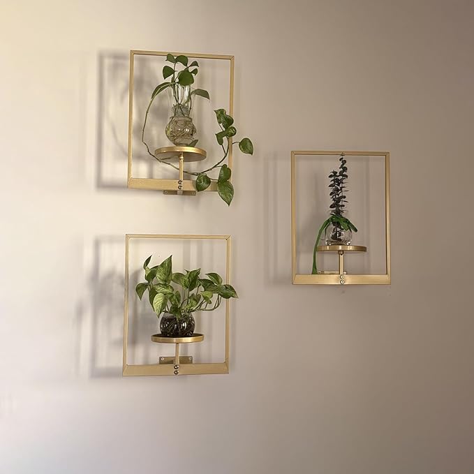 Picture Frame Wall Planters Set of 3, Modern Metal Hanging Shelves - Image 5