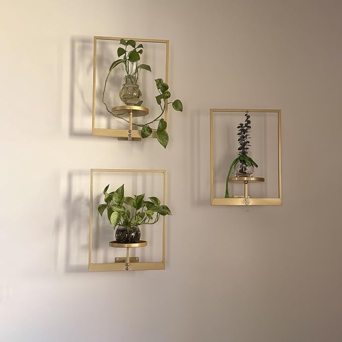 Picture Frame Wall Planters Set of 3, Modern Metal Hanging Shelves - Image 9