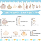 SUNNYCLUE 1 Box 20Pcs 10 Styles Seashell Charms Bulk Sea Shell Charms Large - Image 2