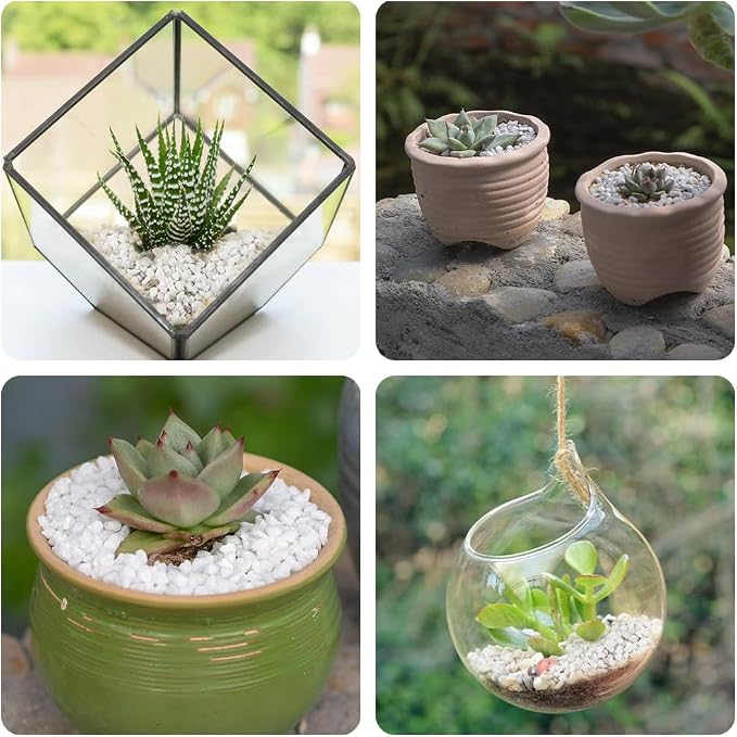 1.1 LB White Succulent Cactus Soil Cover Gravels, Decorative Small Rock | - Image 2