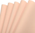 MECCANIXITY EVA Foam Sheets Nude 19.7 Inch x 35.4 Inch 1mm Thick Crafts Foam by MECCANIXITY
