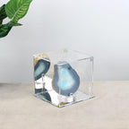Self-Assemble Acrylic Display Case - Image 2