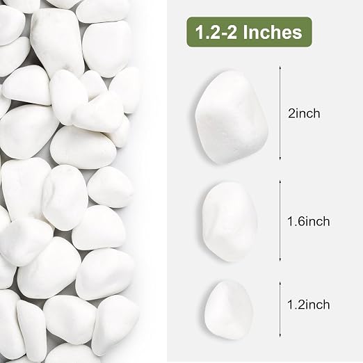 SIDONG 20 lbs White River Rocks, 1.2-2 Inches Matte Pebbles - Image 2