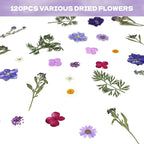 Dried Flowers for Resin | 120pcs Natural Flowers and Leaves Compressed - Image 3
