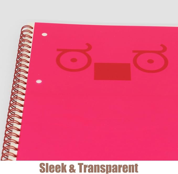 10-Pack A4 Colored PVC Flexible Plastic Sheets, 0.3mm Rose Transparent Film - Image 4