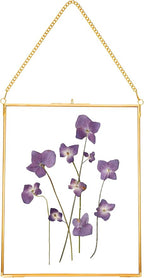 REDHUGO Hanging Pressed Flower Frames, Double Glass Floating Picture Frame by REDHUGO