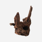 LYPHARD AQUARIUMS Natural Driftwood - Image 4