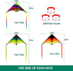 Mint's Colorful Life Delta Kite - Image 3