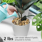 YISZM 2LB Succulent and Cactus Gravel Pebbles, 3/8 Inch Decorative Polished - Image 4