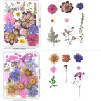 80Pcs Pressed Flowers, Dried Flowers Natural Pressed Flowers Bulk - Image 3