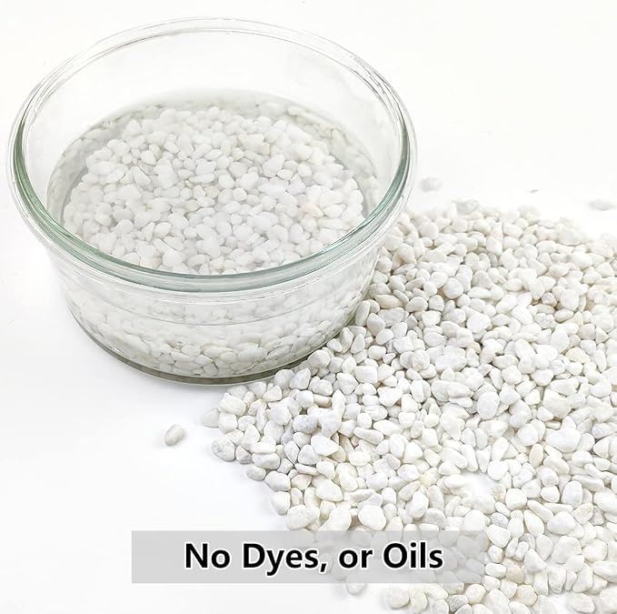 YISZM 10LB Succulent and Cactus Gravel, 1/5 Inch White Natural Decorative - Image 3