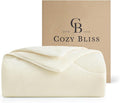 Cozy Bliss Cooling Comforter Queen Size, Reversible Lightweight Cooling Blankets by CozyBliss