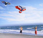 HONBO Huge Patriotic Eagle Kites - Image 5