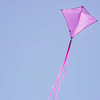 In the Breeze 3295 - Image 7