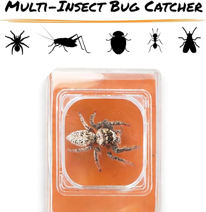 Carson BugView 5X Magnifying Glass Quick-Release Bug Catcher Indoor and Outdoor - Image 6