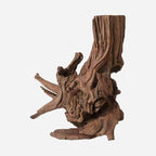 LYPHARD AQUARIUMS Natural Driftwood - Image 4