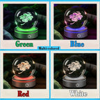 IFOLAINA Crystal Ball Lamp, 3D Four Leaf Clover K9 Decorative Night Light - Image 5