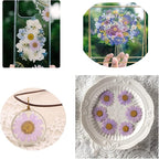 50pcs Natural Dried Daisy Flower, Vacuum Packaging, Pressed Flower - Image 3