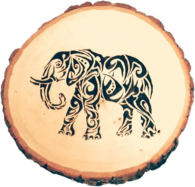 Wilson 4 Pack Basswood Round Rustic Wood Slice, Sanded Side, 9-12" Diameter - Image 8