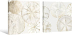 2 Pieces Coastal Wall Art Sea Shell Sand Dollar Painting Modern Abstract Gold - Image 2