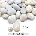YISZM 20lbs White River Rocks for Landscaping, 2-3 Inch Natural Pebbles for - Image 2