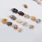 500pcs Natural Tiny Small Seashells - Image 4