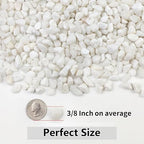 YISZM 5LB Succulent and Cactus Gravel Pebbles, 3/8 Inch Natural Decorative - Image 4
