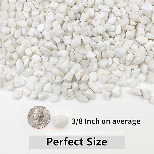 YISZM 5LB Succulent and Cactus Gravel Pebbles, 3/8 Inch Natural Decorative - Image 4