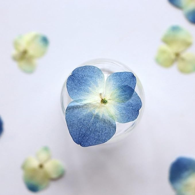 48 Pcs Dried Pressed Flowers for Resin DIY Art Crafts Natural Dry Hydrangea - Image 6